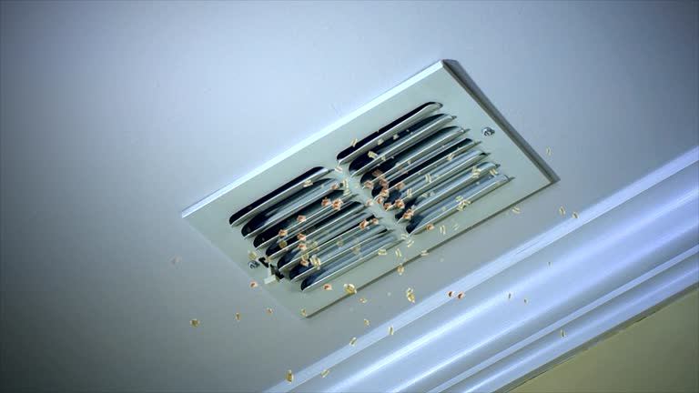 Best Commercial Air Duct Cleaning  in Chesterton, IN