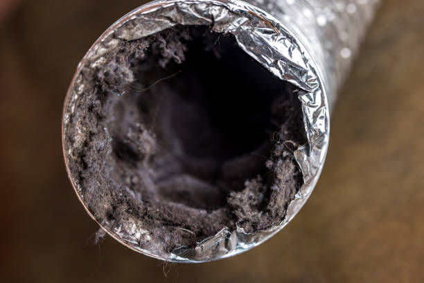 Best Affordable Air Duct Cleaning  in Chesterton, IN